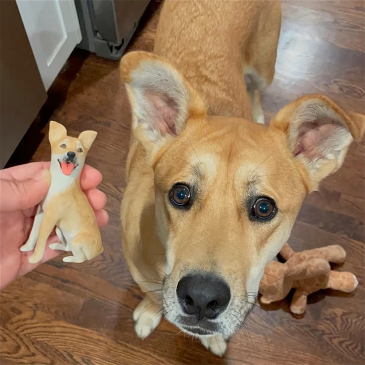 3D Kendin Tasarla - Evcil Hayvan