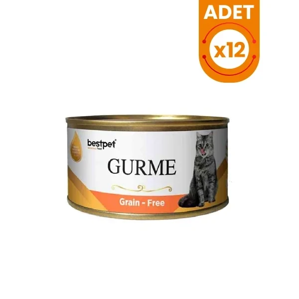 Bestpet Gurme Jöleli Somonlu Yetişkin Konserve Kedi Maması