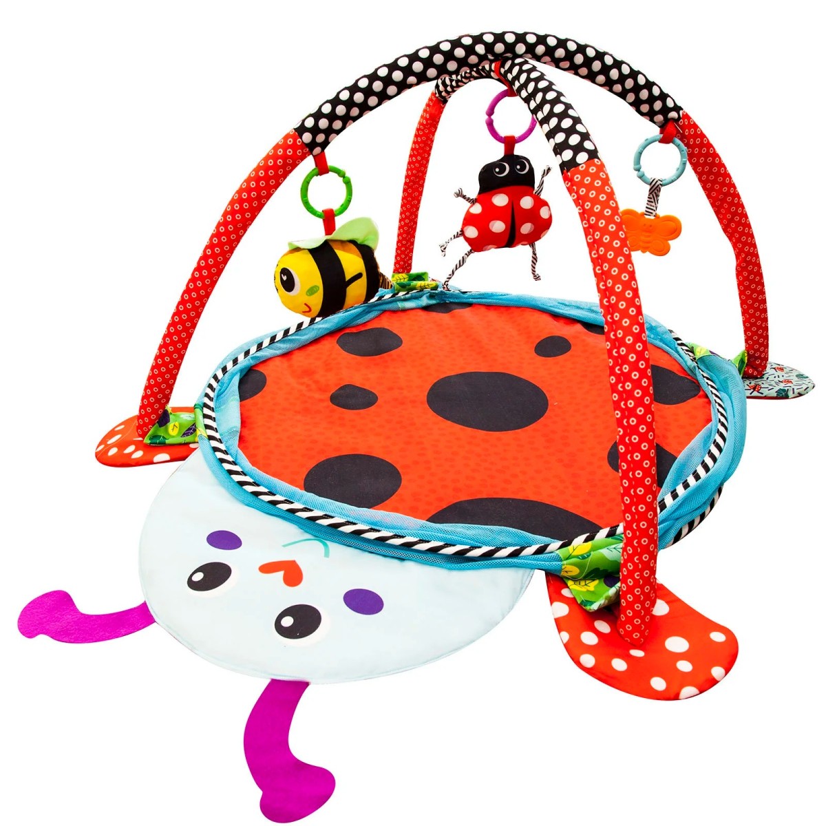 Molie Top Havuzu ve Aktivite Merkezi